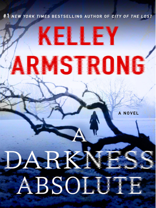 Cover image for A Darkness Absolute